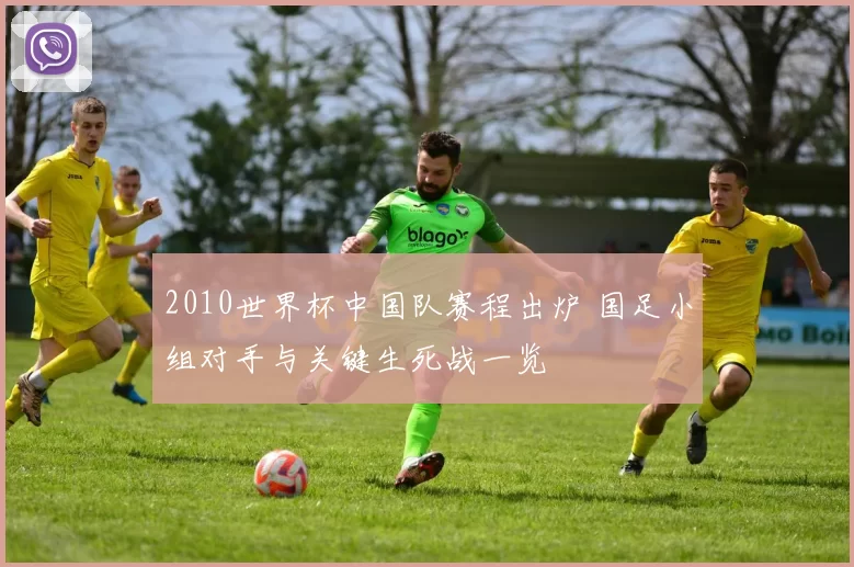 2010世界杯中国队赛程出炉 国足小组对手与关键生死战一览