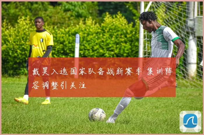 戴昊入选国家队备战新赛季 集训阵容调整引关注