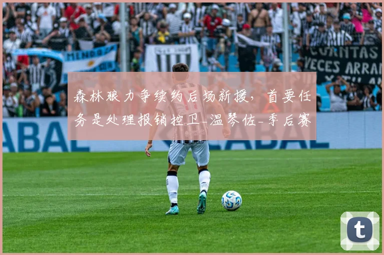 森林狼力争续约后场新援，首要任务是处理报销控卫_温琴佐_季后赛_迪林厄姆