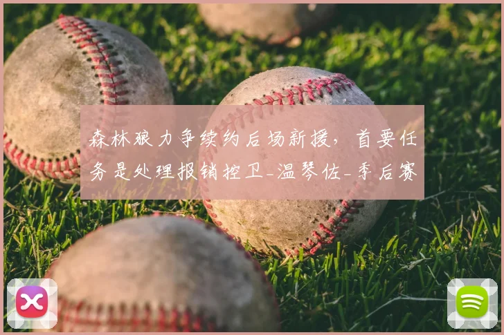 森林狼力争续约后场新援，首要任务是处理报销控卫_温琴佐_季后赛_迪林厄姆