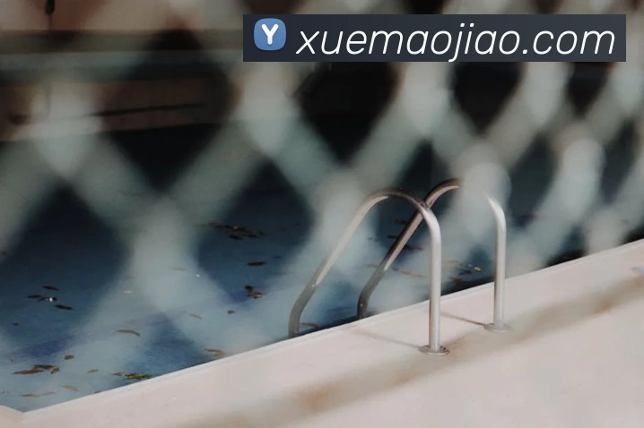 App Interface Preview